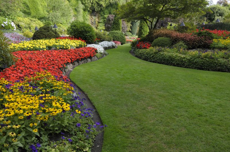 Garden Renovation
