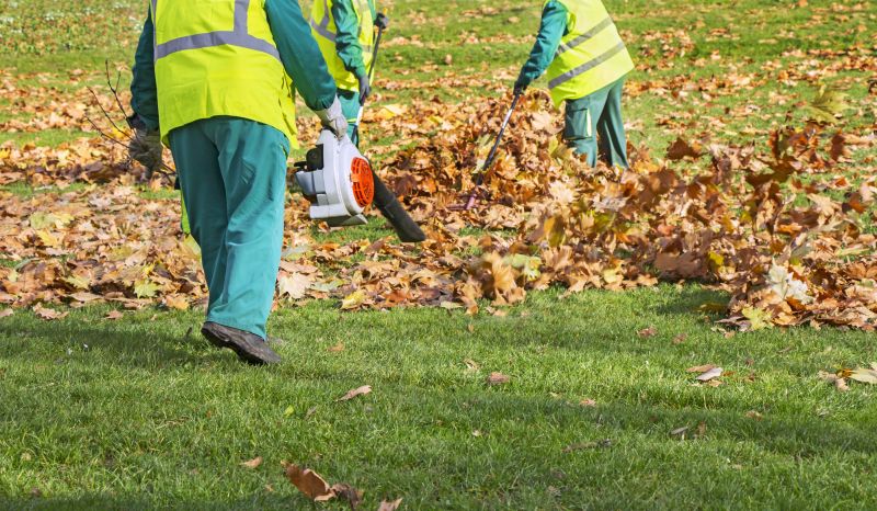 Leaf Raking in Progress