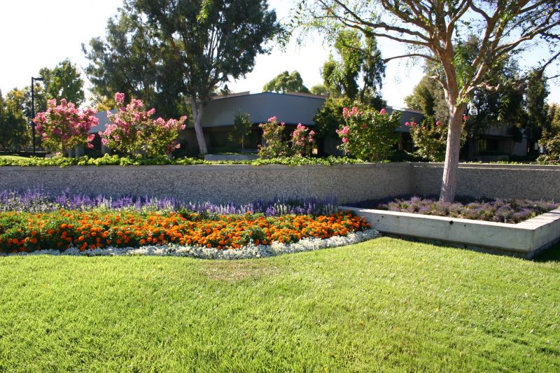 Flower Bed Renovation