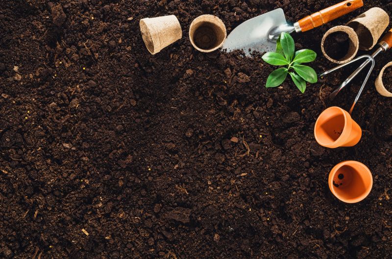 Garden Planning in Spring